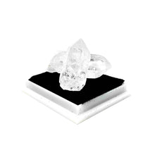 Load image into Gallery viewer, Rock and Mineral Keepsake